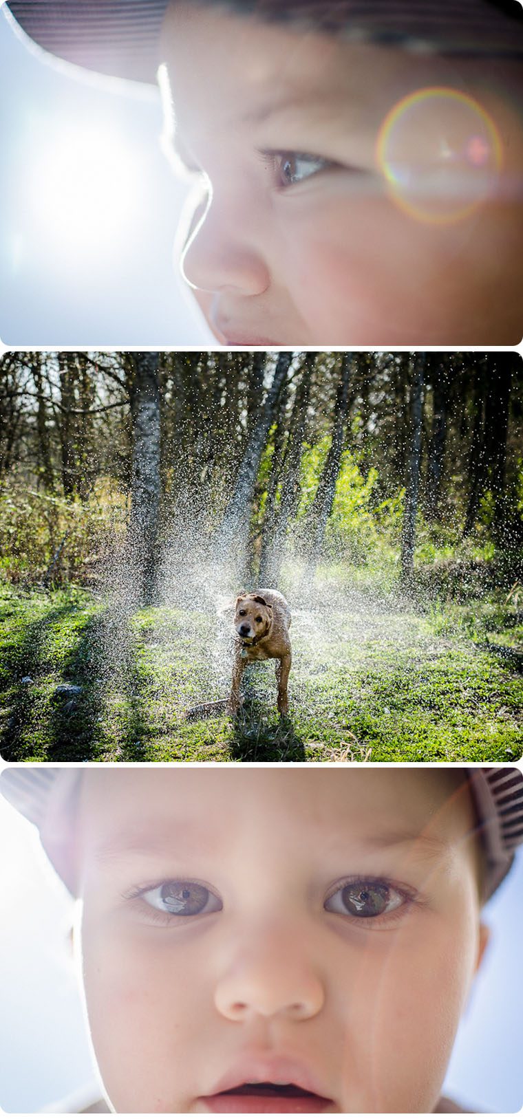 bellingham children photographer