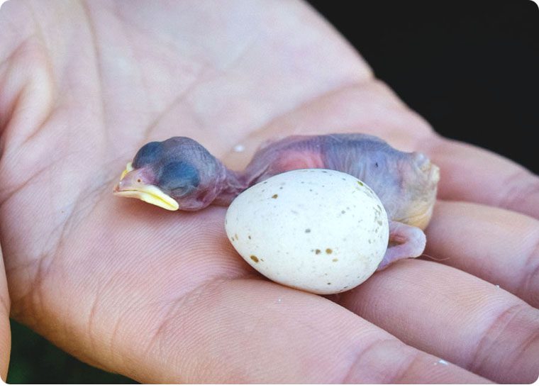 san juan islands wedding_052