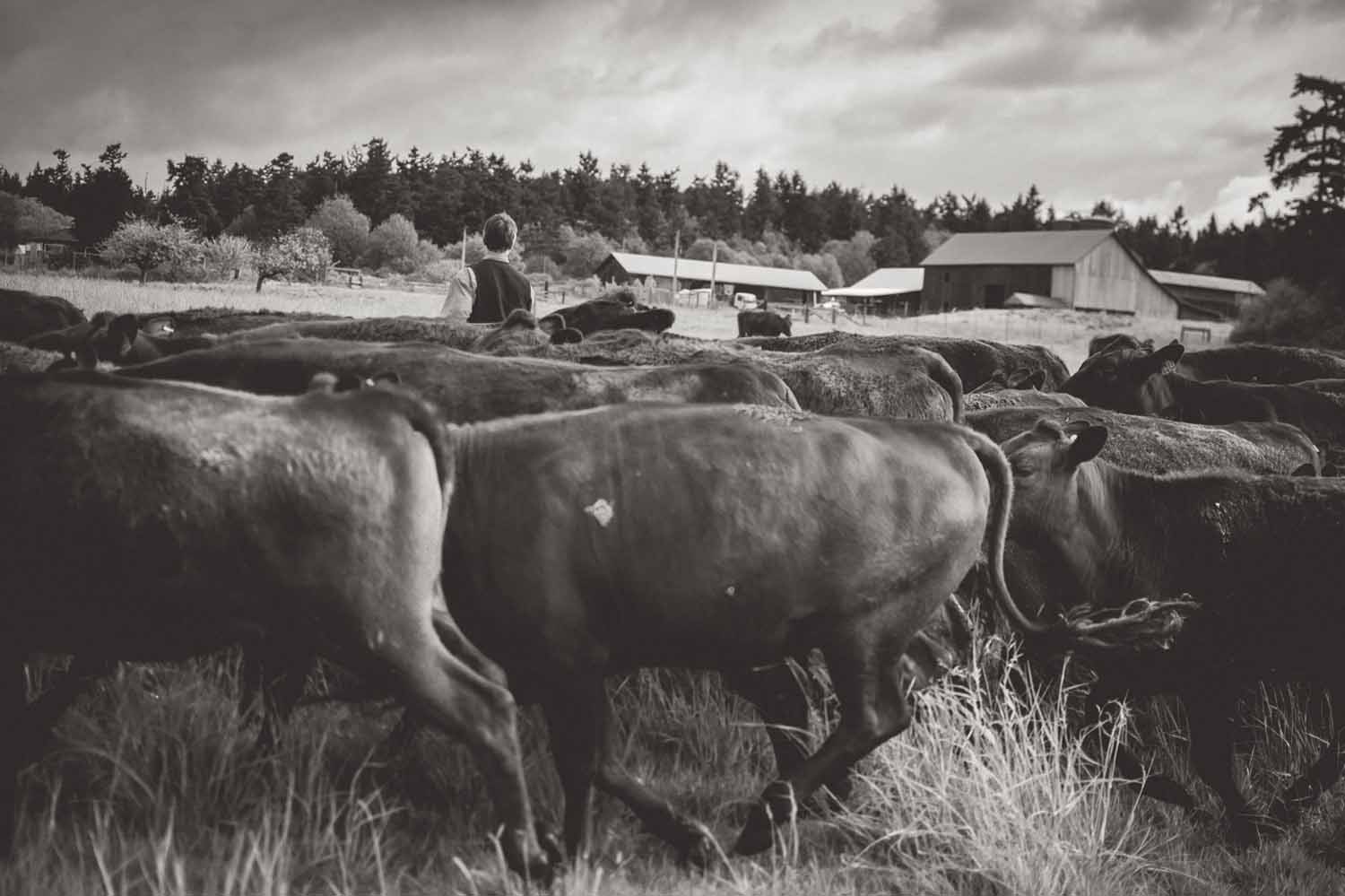 world's best steak_004