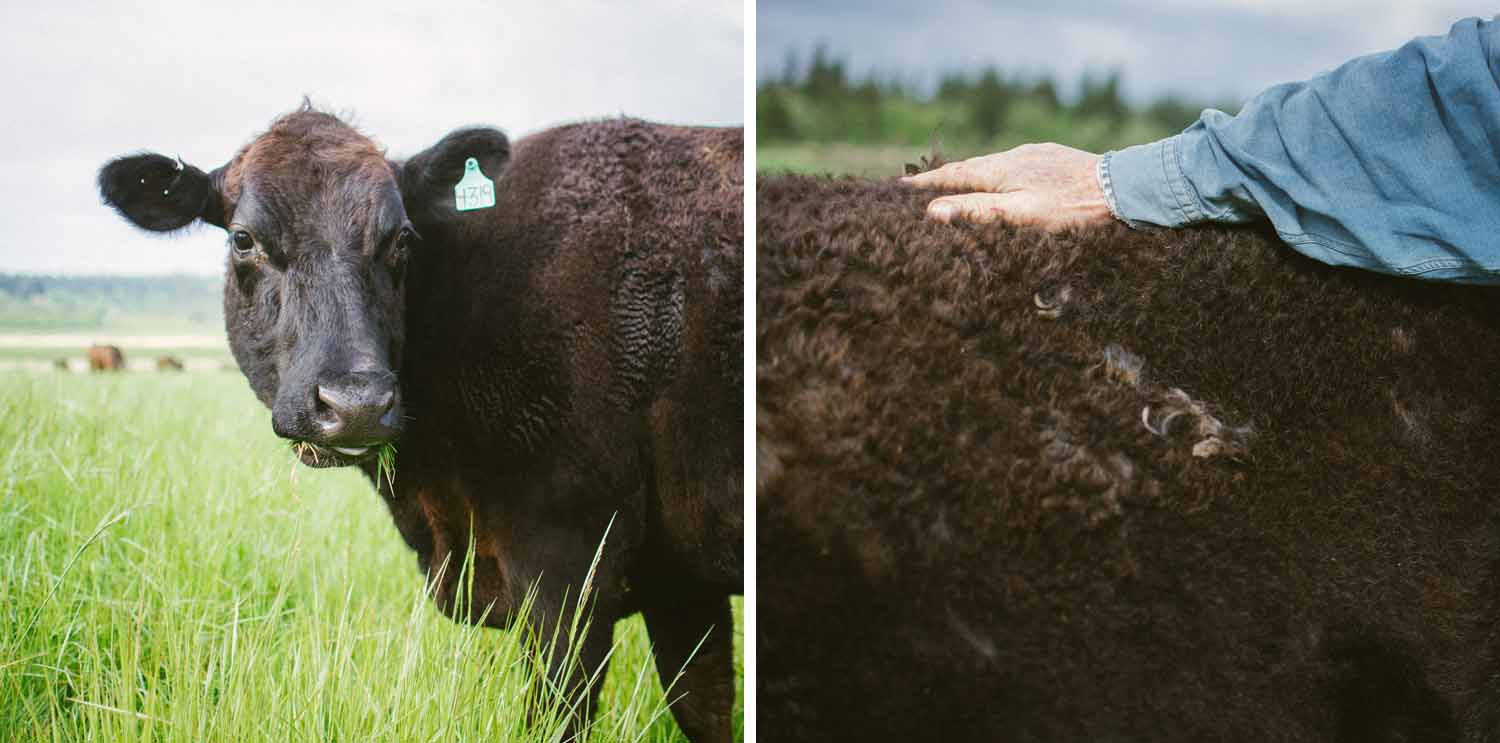 world's best steak_006